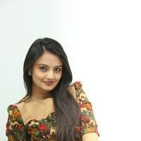 Nikitha Narayan at Love Fever Album Launch Photos | Picture 862375