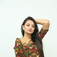 Nikitha Narayan at Love Fever Album Launch Photos | Picture 862376