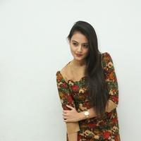 Nikitha Narayan at Love Fever Album Launch Photos | Picture 862383