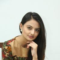 Nikitha Narayan at Love Fever Album Launch Photos | Picture 862396