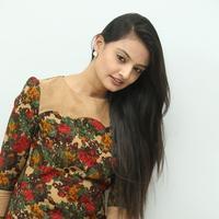 Nikitha Narayan at Love Fever Album Launch Photos | Picture 862409