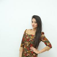 Nikitha Narayan at Love Fever Album Launch Photos
