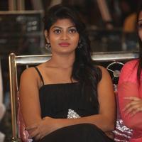 Current Theega Success Meet Photos | Picture 864370