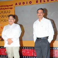 Naa Bangaaru Talli Audio Launch Photos | Picture 863610