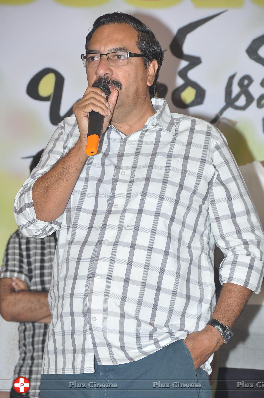 Brother of Bommali Success Meet Photos | Picture 867132