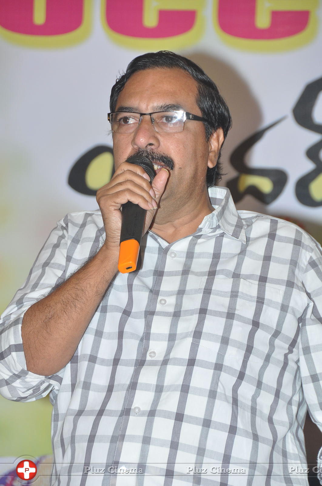 Brother of Bommali Success Meet Photos | Picture 867133