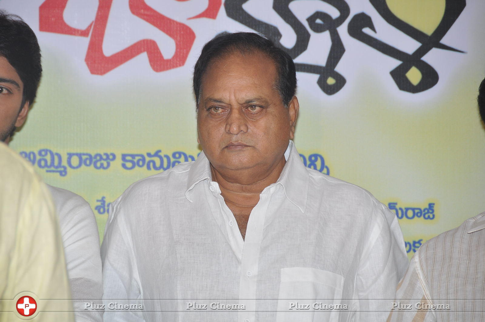 Brother of Bommali Success Meet Photos | Picture 867138