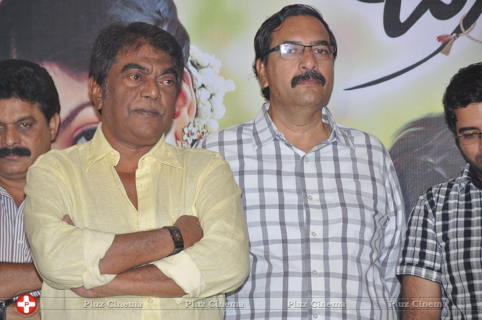 Brother of Bommali Success Meet Photos | Picture 867143