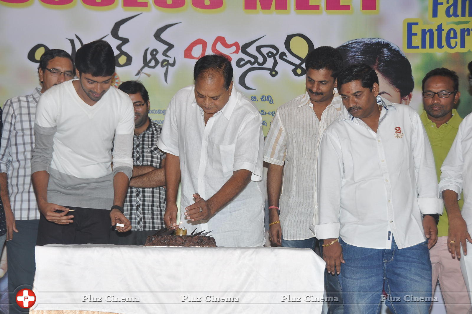 Brother of Bommali Success Meet Photos | Picture 867175