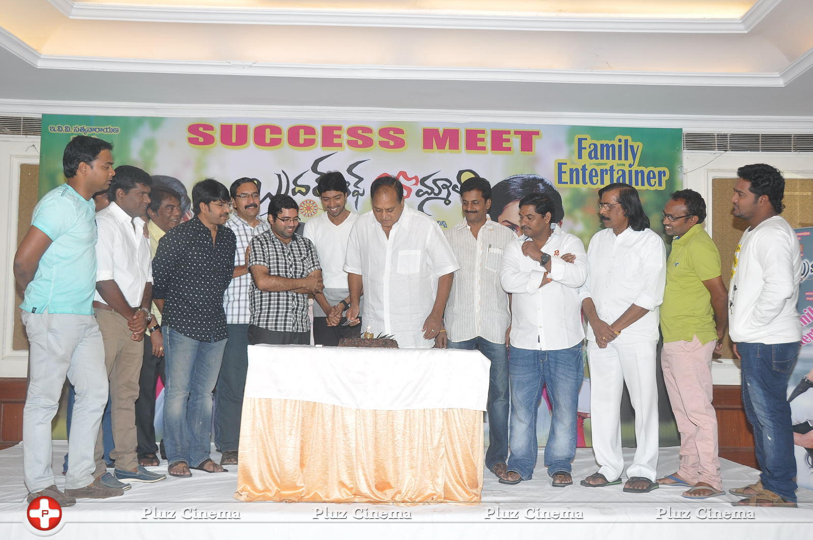 Brother of Bommali Success Meet Photos | Picture 867177