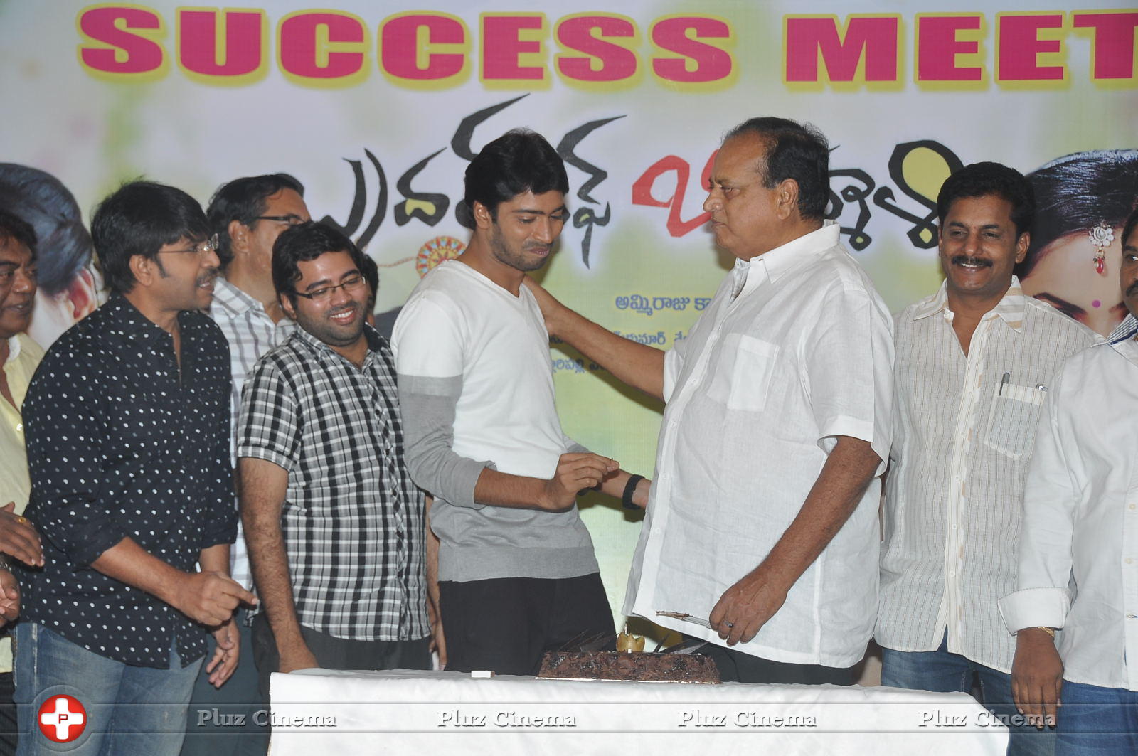Brother of Bommali Success Meet Photos | Picture 867184