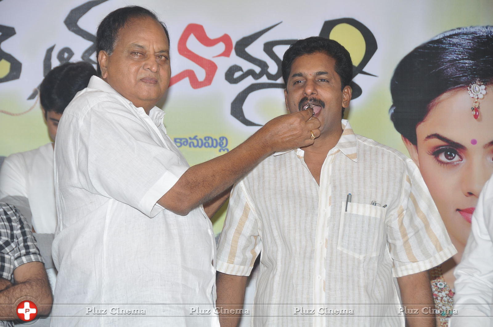 Brother of Bommali Success Meet Photos | Picture 867187