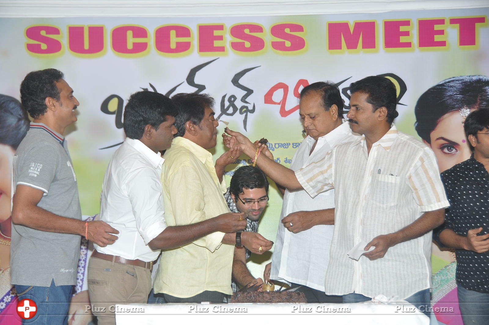 Brother of Bommali Success Meet Photos | Picture 867191