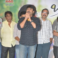 Brother of Bommali Success Meet Photos | Picture 867173