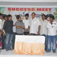 Brother of Bommali Success Meet Photos | Picture 867176