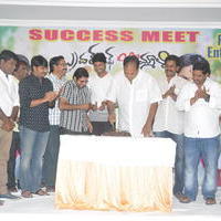 Brother of Bommali Success Meet Photos | Picture 867180