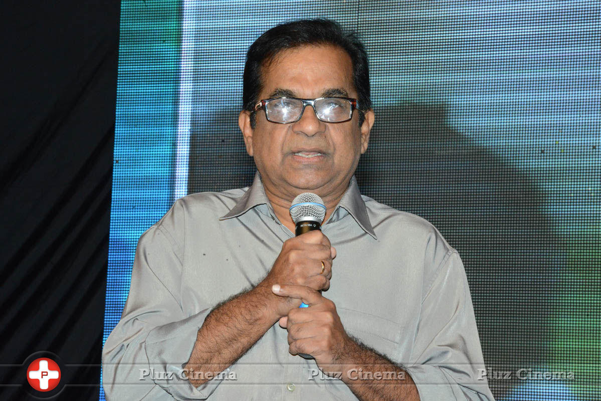 Brahmanandam - Brother of Bommali Audio Launch Photos | Picture 839813