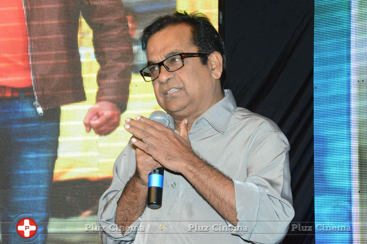 Brahmanandam - Brother of Bommali Audio Launch Photos | Picture 839814