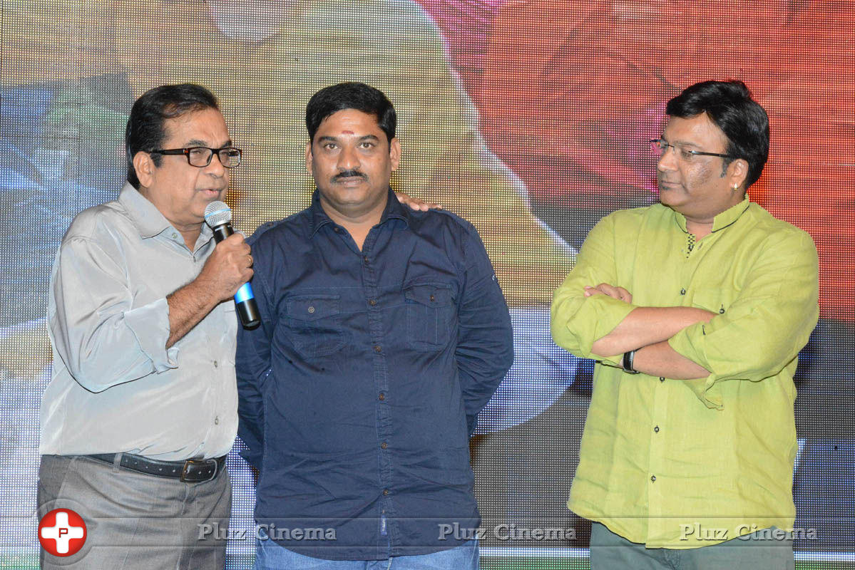 Brother of Bommali Audio Launch Photos | Picture 839815