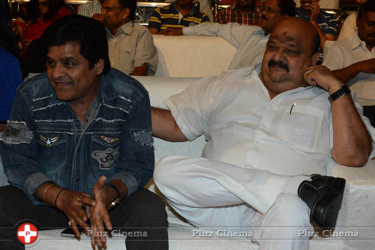 Brother of Bommali Audio Launch Photos | Picture 839847