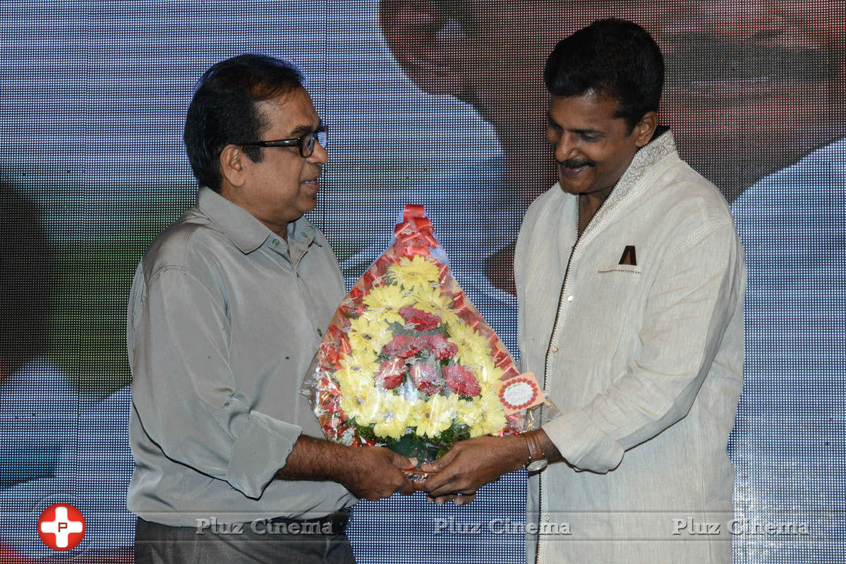 Brother of Bommali Audio Launch Photos | Picture 839871
