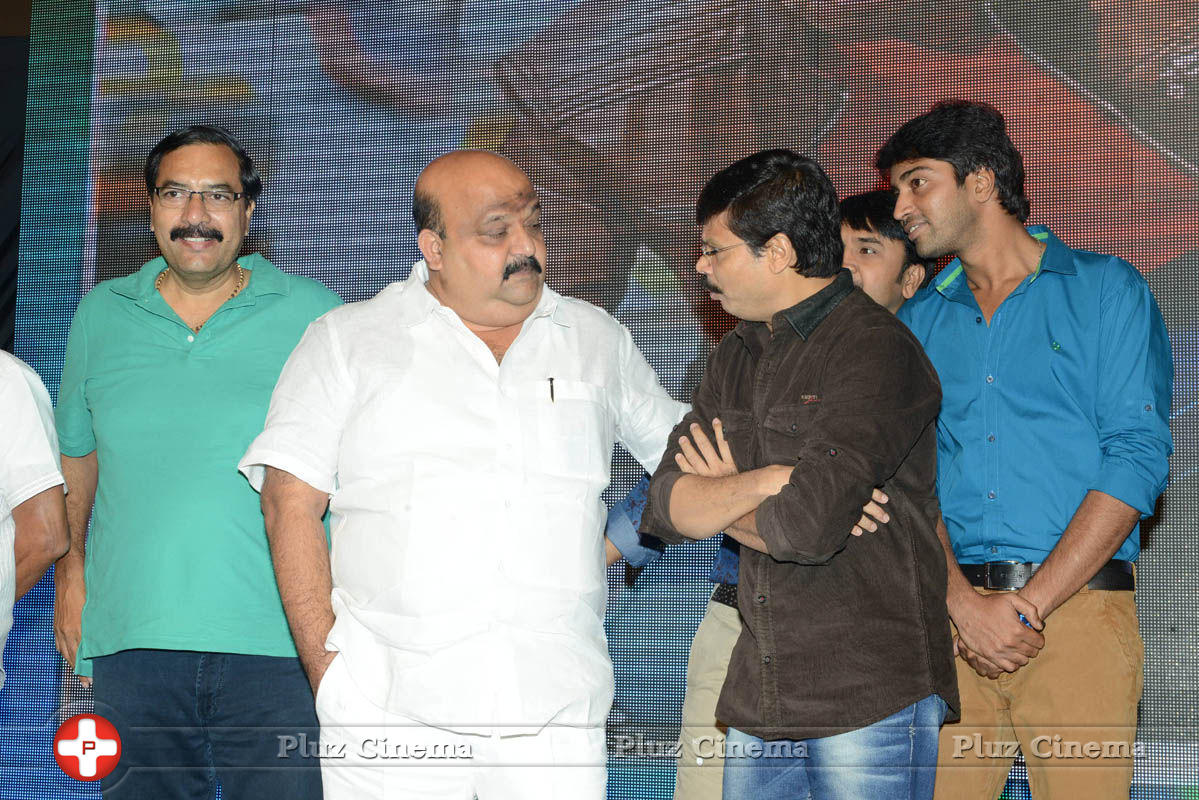 Brother of Bommali Audio Launch Photos | Picture 839878