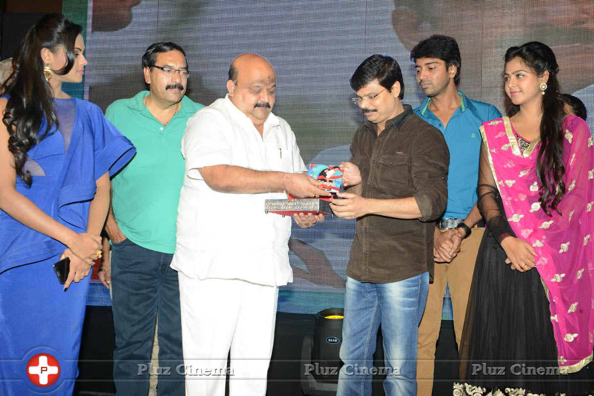 Brother of Bommali Audio Launch Photos | Picture 839903