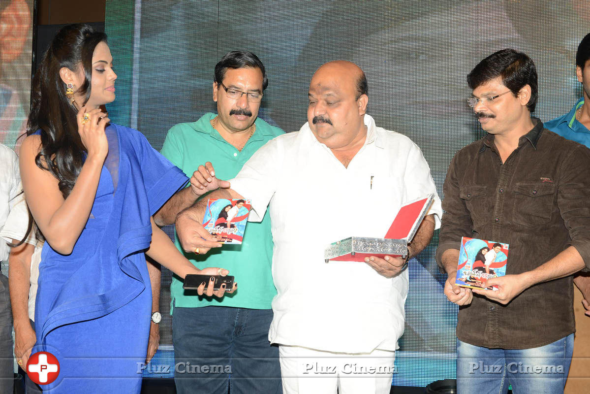 Brother of Bommali Audio Launch Photos | Picture 839904
