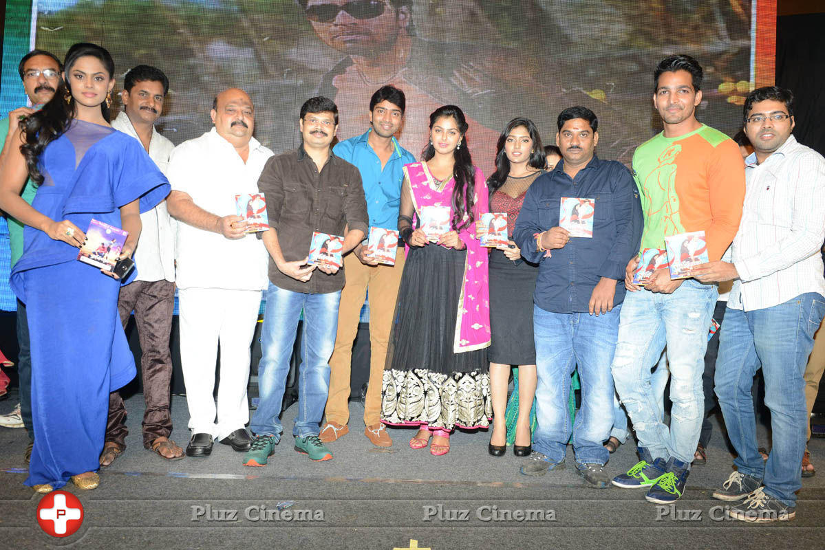 Brother of Bommali Audio Launch Photos | Picture 839908