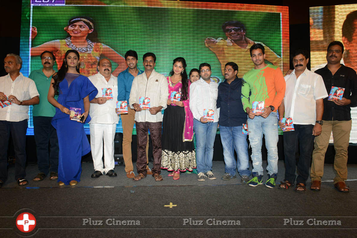 Brother of Bommali Audio Launch Photos | Picture 839915