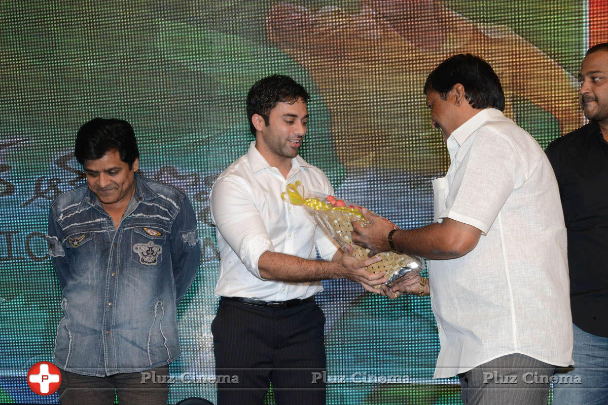 Brother of Bommali Audio Launch Photos | Picture 839916