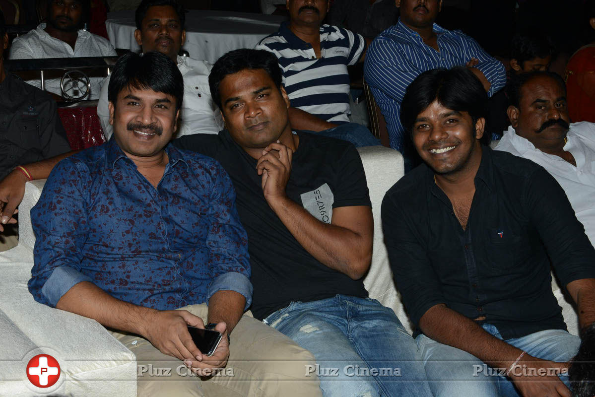 Brother of Bommali Audio Launch Photos | Picture 839925