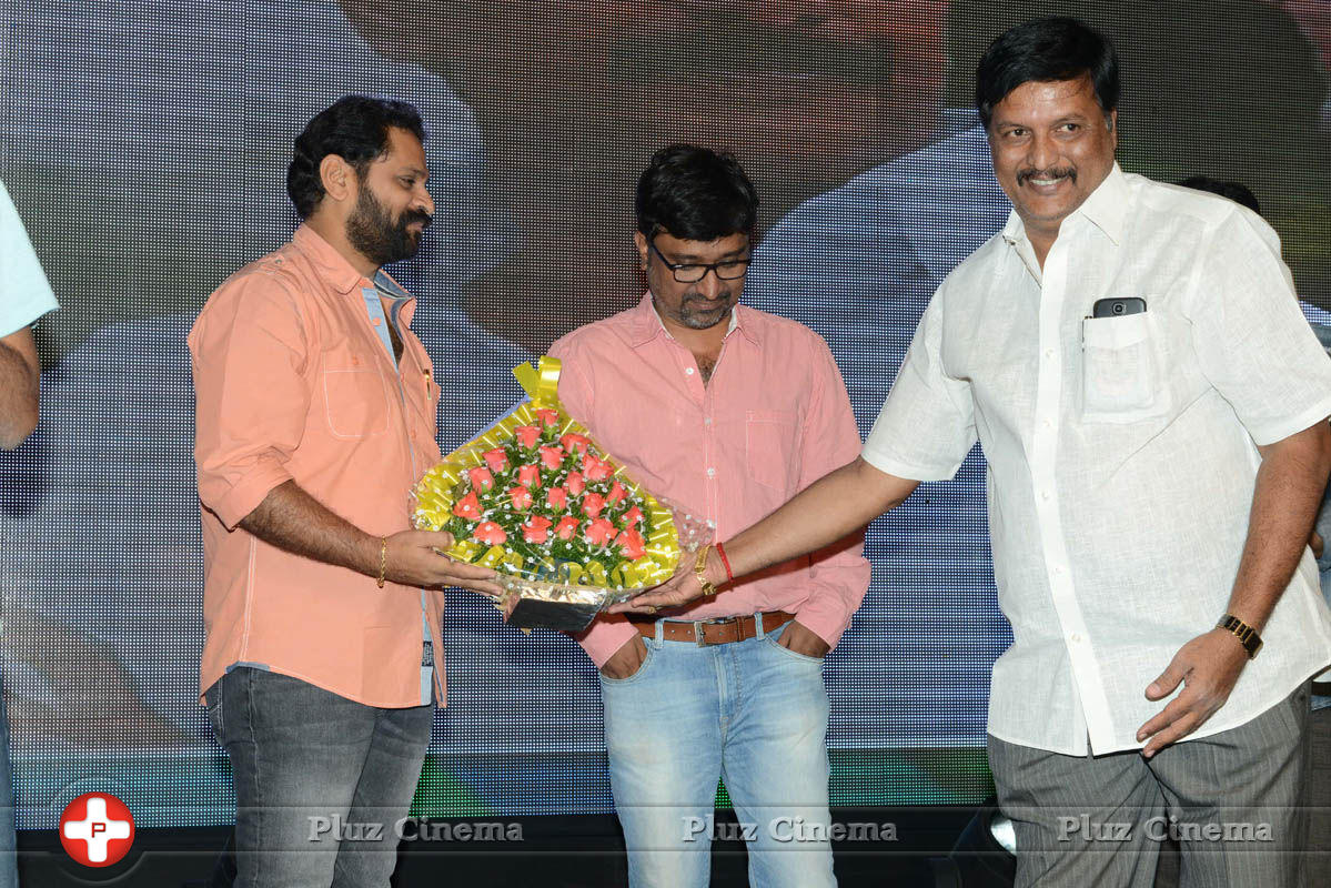 Brother of Bommali Audio Launch Photos | Picture 839927