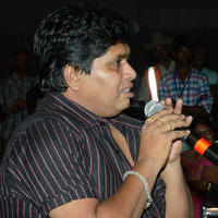 Brother of Bommali Audio Launch Photos | Picture 839837