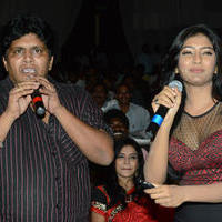 Brother of Bommali Audio Launch Photos | Picture 839839