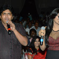 Brother of Bommali Audio Launch Photos | Picture 839840