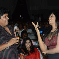 Brother of Bommali Audio Launch Photos | Picture 839846
