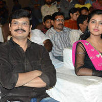 Brother of Bommali Audio Launch Photos | Picture 839851