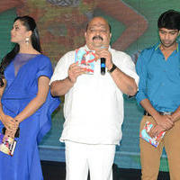 Brother of Bommali Audio Launch Photos | Picture 839883