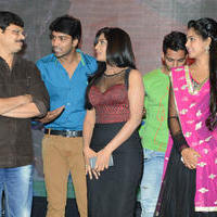Brother of Bommali Audio Launch Photos | Picture 839884