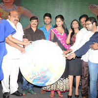 Brother of Bommali Audio Launch Photos | Picture 839895