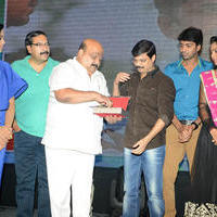 Brother of Bommali Audio Launch Photos | Picture 839902
