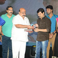 Brother of Bommali Audio Launch Photos | Picture 839903