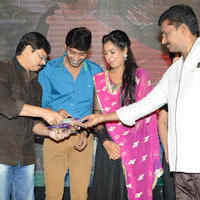Brother of Bommali Audio Launch Photos | Picture 839906