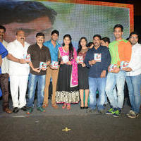 Brother of Bommali Audio Launch Photos | Picture 839909