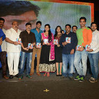 Brother of Bommali Audio Launch Photos | Picture 839910