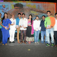 Brother of Bommali Audio Launch Photos | Picture 839912