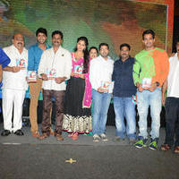 Brother of Bommali Audio Launch Photos | Picture 839913
