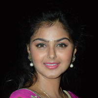 Monal Gajjar at Brother of Bommal Audio Release Photos | Picture 840414