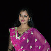 Monal Gajjar at Brother of Bommal Audio Release Photos | Picture 840444